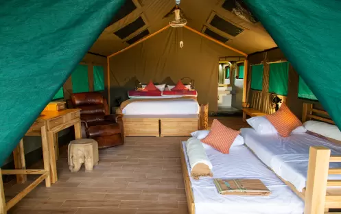 Elephant Hills The Bush Camp (2 Days 1 Night)